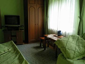 Фото номера Трехместный номер Гостевой дом Pensiunea Giulia г. Войняса 7
